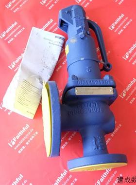 议价ARI Fig 12.903 DN32 DN20 艾瑞全新安全阀 3Bar