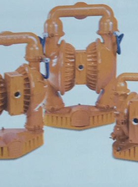 威尔顿泵吸式气动隔膜泵PX15/AAAAR/BNU/BN/BN/0050