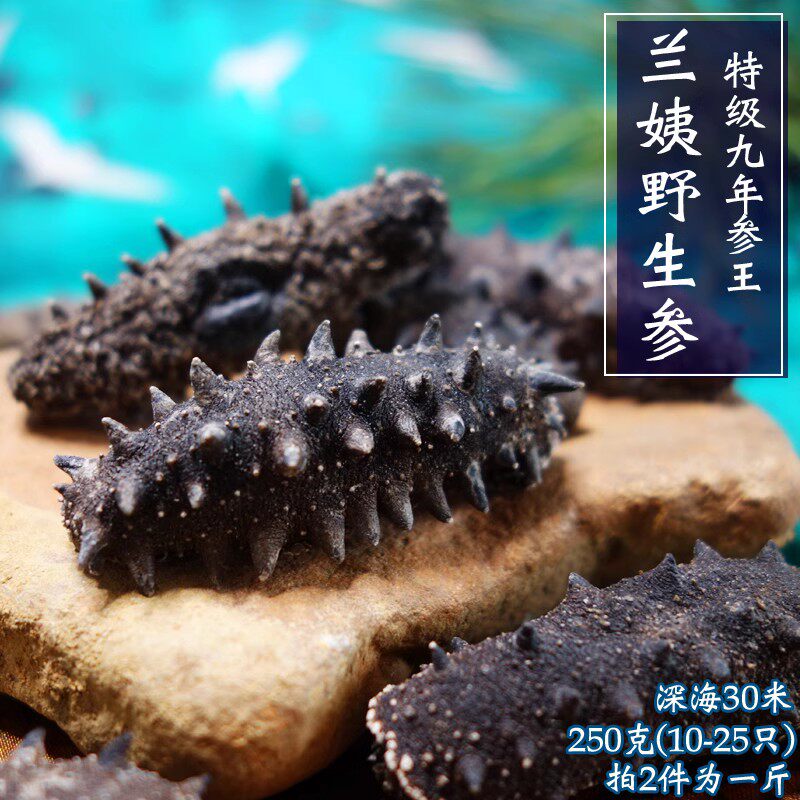 大连纯野生海参淡干货深海生九年刺渗孕妇化疗术后补品质辽叁25头