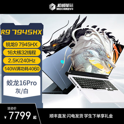 机械革命翼龙15Pro新品极光pro