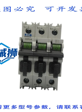 原装供应 进口 CCP2-2-30M 240VAC 30A NSNP