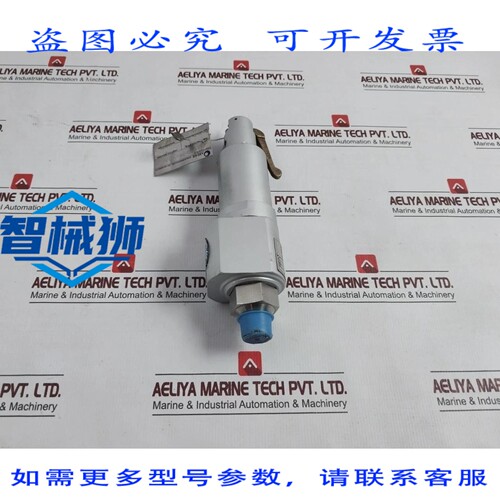 原装供应 默瑟阀门 91-M2D63P1641 安全泄压阀 3500 PSI 1D3P143