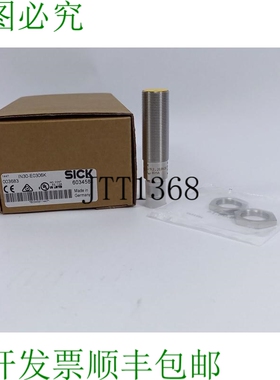 SICK 6034581 IN30-E0306K