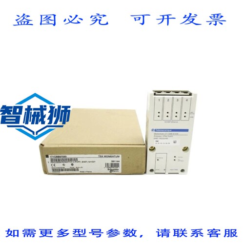 原装供应 171CBB97030 24VDC NSMP