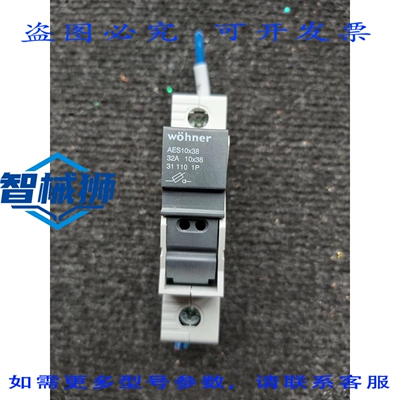 原装供应 WOHNER AES10X38 32A 31 110 1P