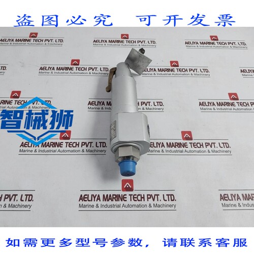 原装供应 MERCER 阀门 91-M2D63P1641 安全泄压阀 3500 PSI 60°F
