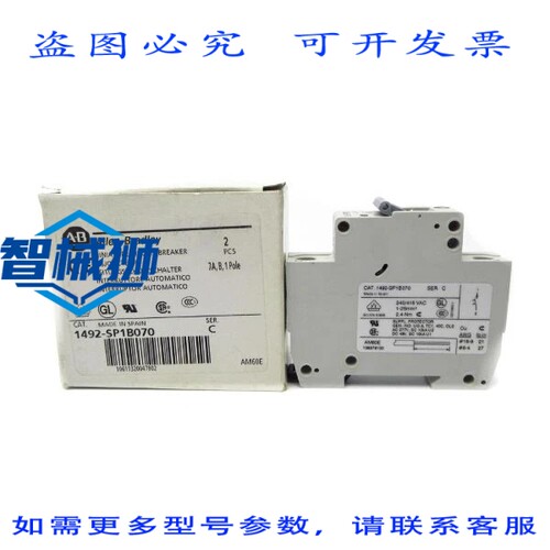 原装供应 罗克韦尔AB 1492-SP1B070 系列C 240/415VAC 7A（2 个装