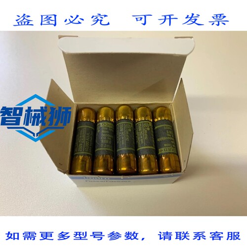 原装供应 19个GOULD SHAWMUT NRN6非延时保险丝，6A，250V