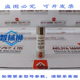 原装供应 LOTE DE 17X 3A GG/GL IEC 269 陶瓷熔断器 CARTUCHO 50