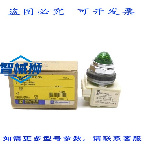 原装供应 9001KP35LGG9 J 系列 24-28VAC/DC NSMP