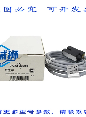 原装供应 DATASENSOR SR0-02 24VDC NSMP