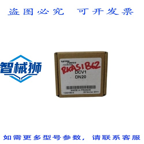 原装供应 SPIRAX SARCO DCV1-DN20 止回阀 NSMP