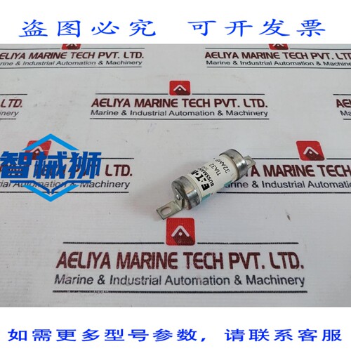 原装供应 5个进口 TIA32熔断器，HBC系列，BUSSMANN 32安培，660