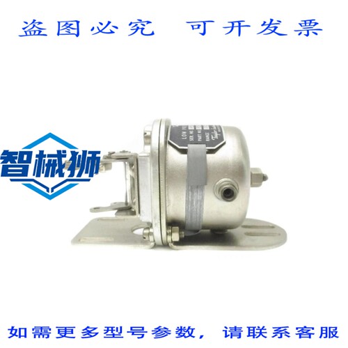 原装供应 泰勒仪器 61S603GN 3-15PSIG NSNP