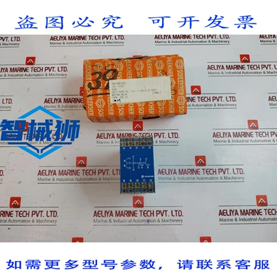原装供应 SCHLEICHER SSY12 ELETTRONICO INTERVALLO TEMPO RELE