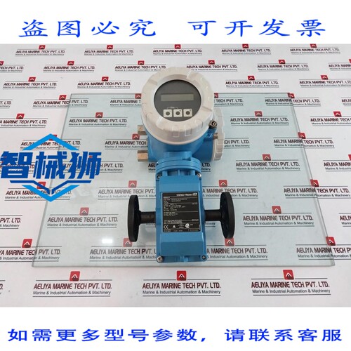 原装供应 ENDRESS+HAUSER 50P15-EL0A1RA0BAAW 高温流量计 85-260