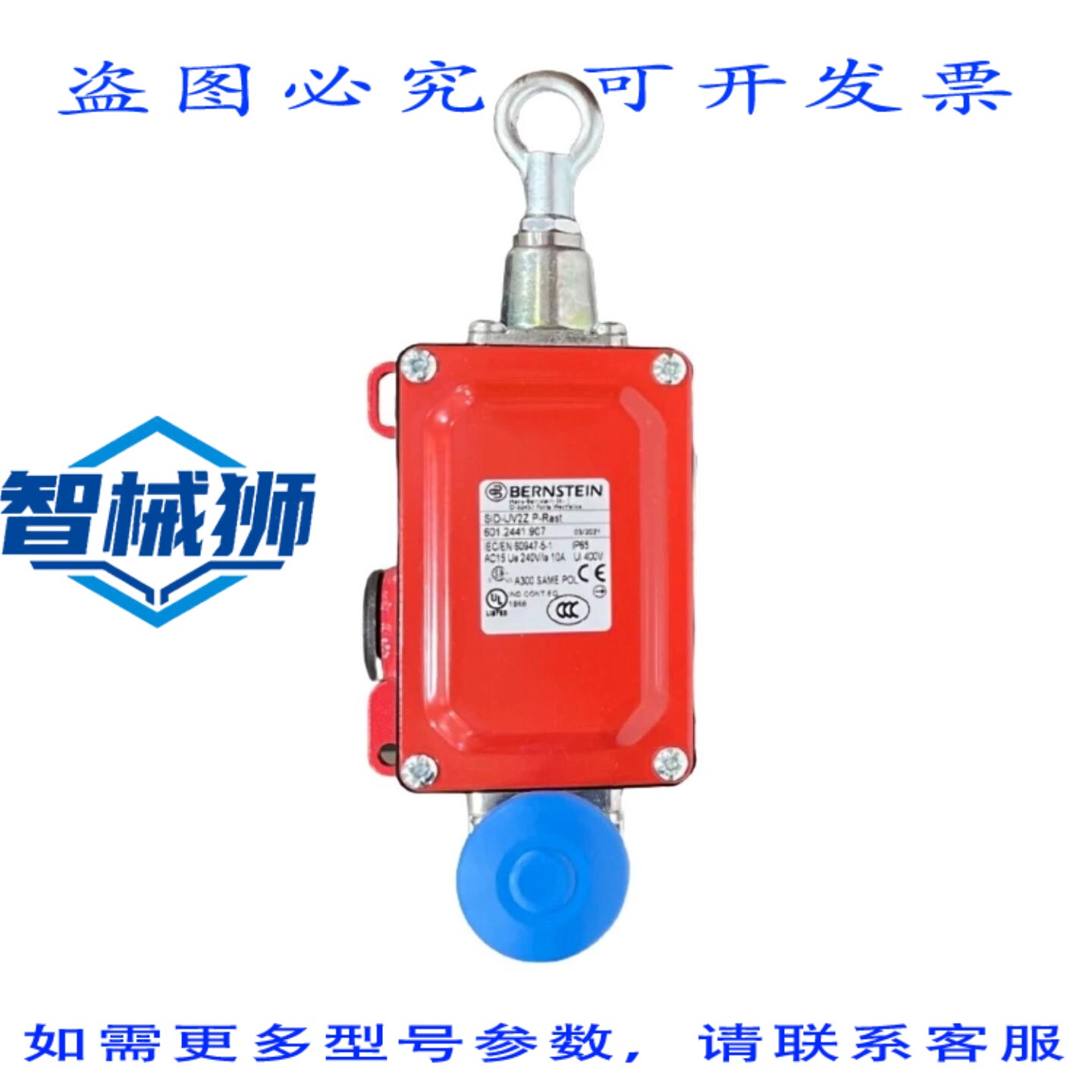 现货供应 伯恩斯坦拉动开关 601.2441.907