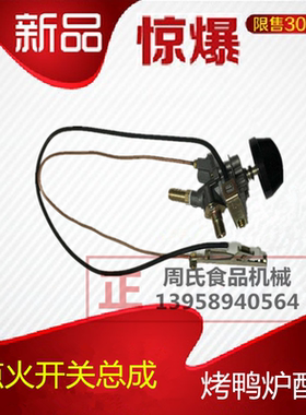 燃气开关两用电子烤鸭炉