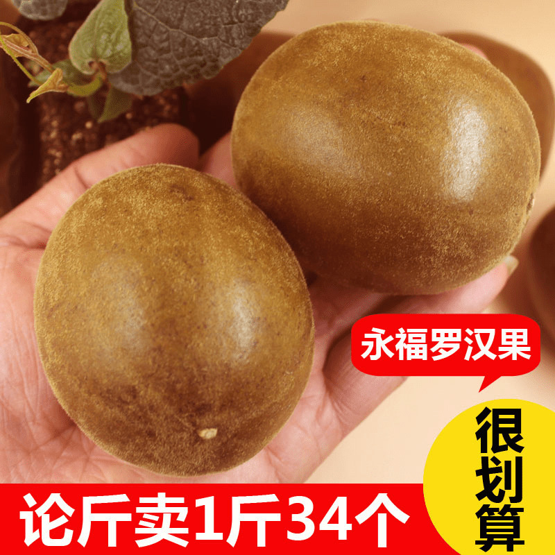 正宗广西永福罗汉果干果新鲜干货1斤大果散装桂林罗汉果花茶泡水