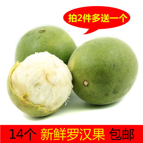 现货罗汉果新鲜广西桂林