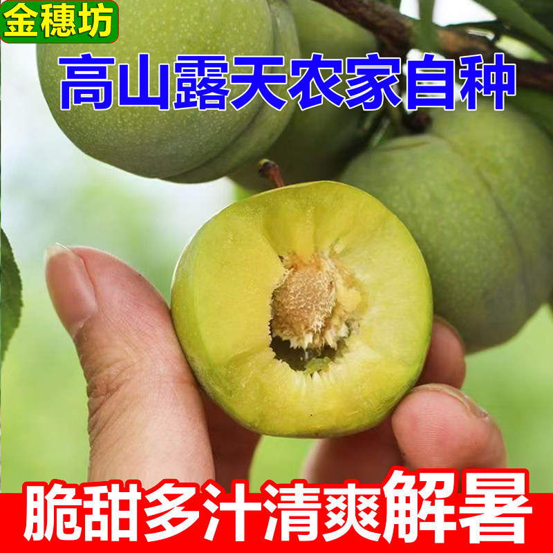 无农药清脆李农家高山露天种植李子脱骨李新鲜水果脆甜多汁李子