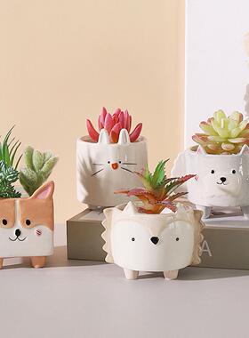 Cute Hedgehog Rabbit Ceramic Flowerpot Succulent Planter
