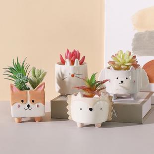 Cute Hedgehog Rabbit Ceramic Flowerpot Succulent Planter