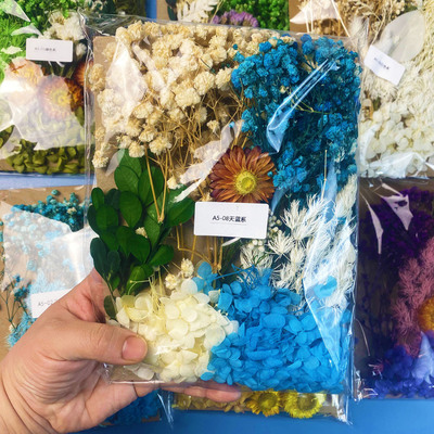 永生花diy浮游花香薰蜡烛相框团扇幼儿园手工压花材料包多色可选