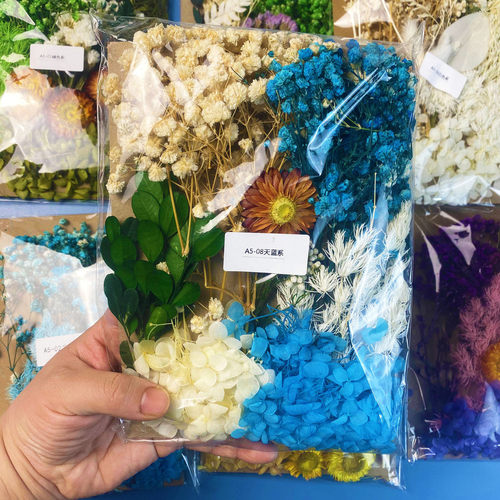 永生花diy浮游花香薰蜡烛相框团扇幼儿园手工压花材料包多色可选