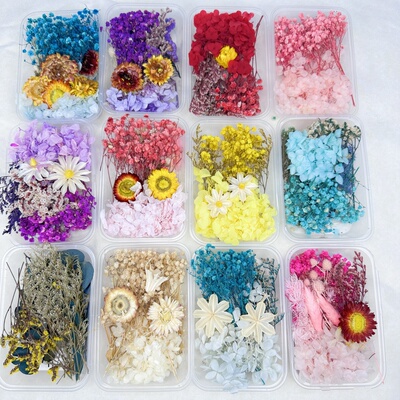 永生花干花材料包DIY相框贴画团扇浮游 团建活动花艺课武汉花材包