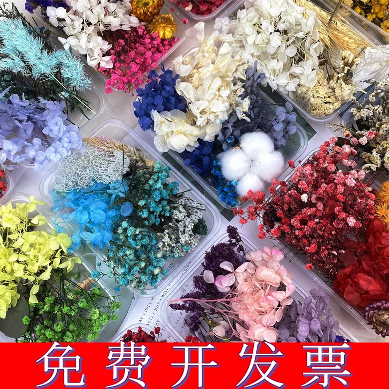 永生花干花diy材料包混装花盒混合干花手工相框空白团扇永生花瓣