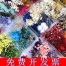 花盒混合干花手工相框空白团扇永生花瓣 永生花干花diy材料包混装