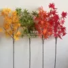 Товары от 阳光花卉