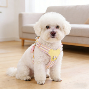 狗狗牵引绳胸背小型犬宠物胸背式牵狗绳胸背带幼犬遛狗绳外出专用