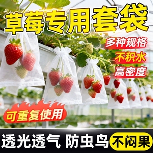 草莓套袋托果网防虫袋水果桃子蓝莓专用防鸟透气防鸟罩防虫纱网袋