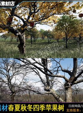 UE5虚幻5 Trees Apple Tree Seasonal 5.0-5.4苹果树模型