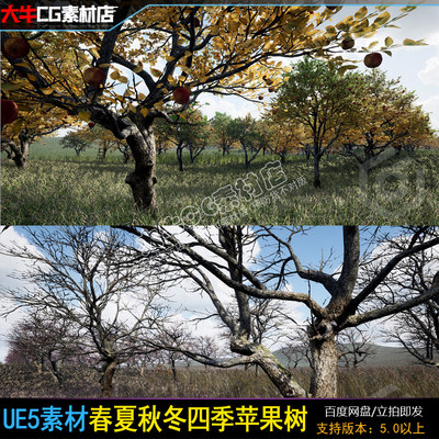 UE5虚幻5 Trees Apple Tree Seasonal 5.0-5.4苹果树模型