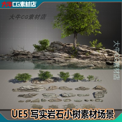 UE5虚幻 写实岩石头碎石块沙土植物树木小花小草水面材质素材场景