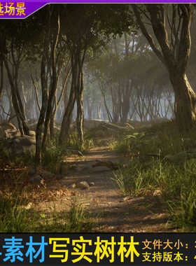 UE4/5虚幻 写实树林环境 早晨傍晚森林岩石落叶小路小溪场景素材