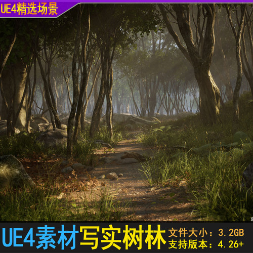 UE4/5虚幻 写实树林环境 早晨傍晚森林岩石落叶小路小溪场景素材