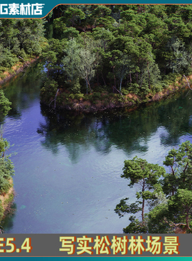 UE5虚幻5.4 The Pine Environment  写实影视级松树自然群落场景