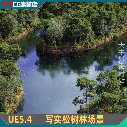 UE5虚幻5.4 The Pine Environment  写实影视级松树自然群落场景