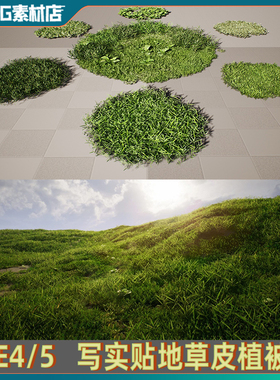 UE4/UE5 写实矮小贴地绿色小草 地面 草地草坪绿草素材