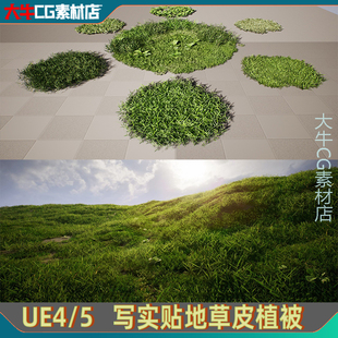 UE4/UE5 写实矮小贴地绿色小草 地面 草地草坪绿草素材