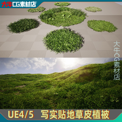 UE4/UE5 写实矮小贴地绿色小草 地面 草地草坪绿草素材