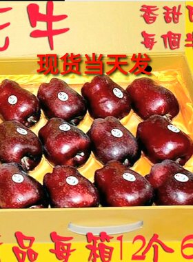 甘肃新鲜天水花牛苹果12个包邮