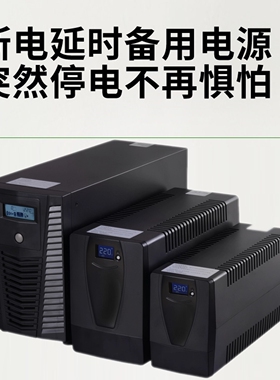 UPS 不停电电源 CASTLE-1K 输入220VAC 输出220VA 德利仕1000VA