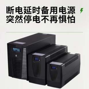 输出220VA UPS 德利仕1000VA 输入220VAC 不停电电源 CASTLE