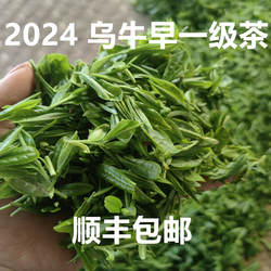 2024新绿茶宁海望海茶清明前茶望海茶一级茶100克袋装宁海特产