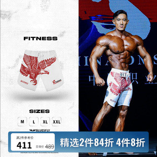 蒋坤志同款BLUESFLY雄鹰印花限量健体比赛裤男子速干健身短裤